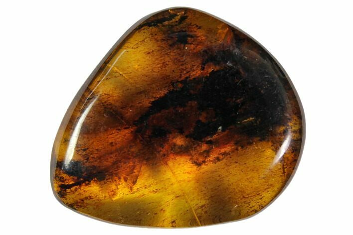 Polished Chiapas Amber ( g) - Mexico #114773